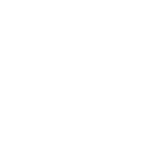 mosquito