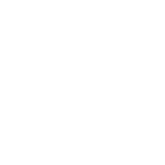 moth-insect-shape